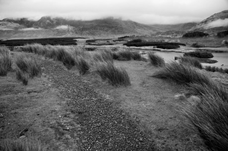 Tawnyard, Co. Mayo, Ireland, March 2009