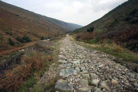 Glenmalure, Co. Wicklow, Ireland, November 2011
