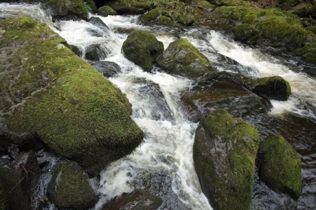 The Devils Glen, Co. Wicklow, Ireland, January 2012