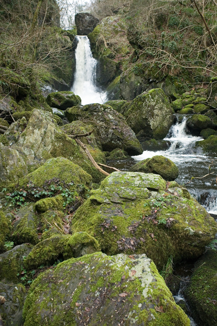 The Devils Glen, Co. Wicklow, Ireland, January 2012
