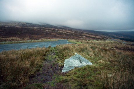 Turlough, Co. Wicklow, Ireland, January 2012 © Tom O'Connor 2012