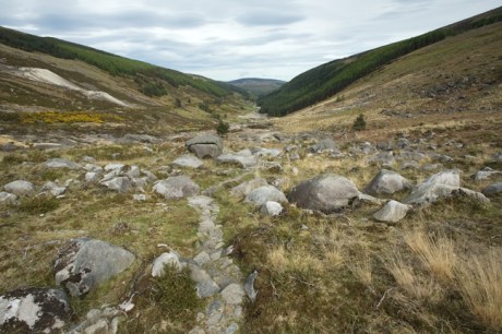 St. Kevins Way, Co. Wicklow, Ireland, May 2012