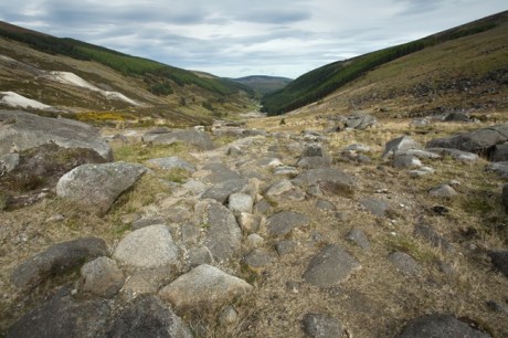 St. Kevins Way, Co. Wicklow, Ireland, May 2012