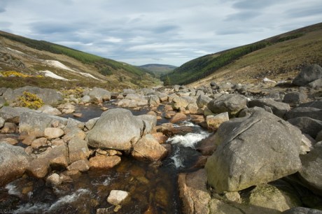 St. Kevins Way, Co. Wicklow, Ireland, May 2012