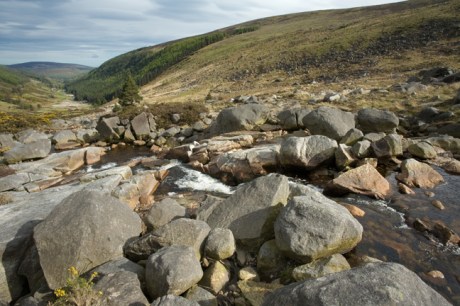 St. Kevins Way, Co. Wicklow, Ireland, May 2012