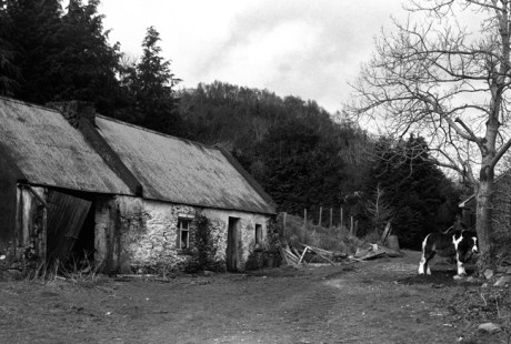 Killarney, Co. Kerry, Ireland, March 2002