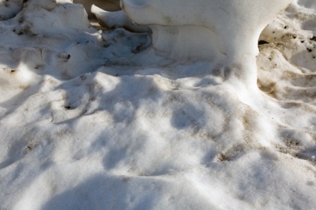 Sally Gap, Co. Wicklow, Ireland, January 2010