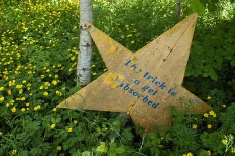Victorias Way, Co. Wicklow, Ireland, June 2013