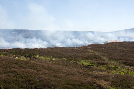 Sally Gap, Co. Wicklow, Ireland, June 2013