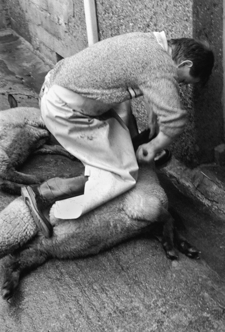 Cahill & Son, Victuallers, Ireland, 1991