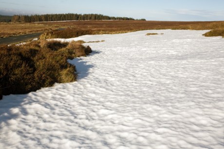 Sally Gap, Co. Wicklow, Ireland, January 2010
