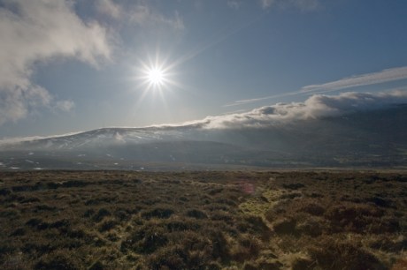 Sally Gap, Co. Wicklow, Ireland, January 2010