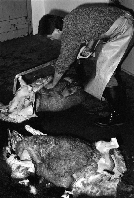 Cahill & Son, Victuallers, Ireland, 1991