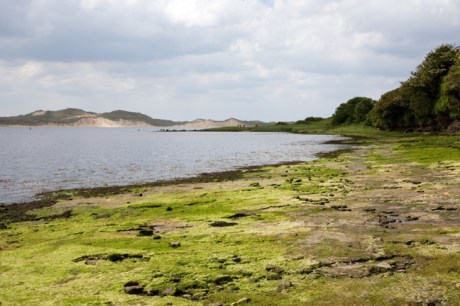 Abbey Bay, Ballyshannon, Co. Donegal, May 2009