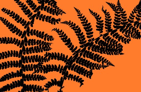 Ferns, Kevin Street, Dublin, Ireland, May 1994