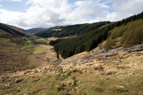 Glenmacnass, Co. Wicklow, Ireland, April 2010