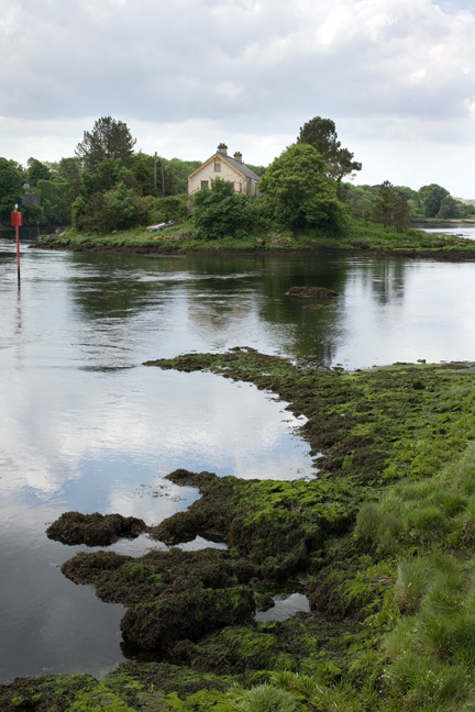 Inis Saimer, Ballyshannon, Co. Donegal, May 2009