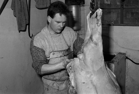 Cahill & Son, Victuallers, Ireland, 1991