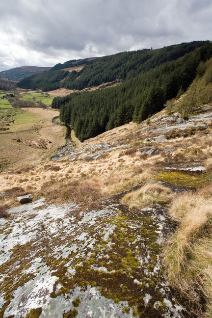 Glenmacnass, Co. Wicklow, Ireland, April 2010