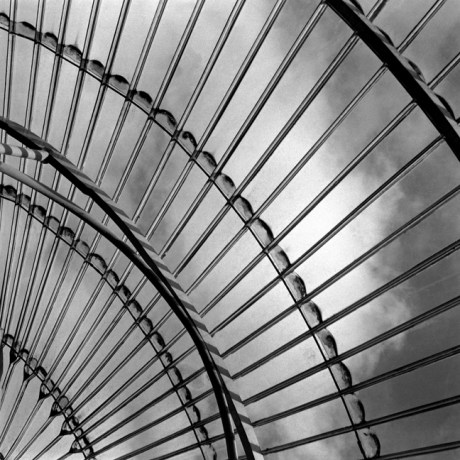 Botanical Gardens, Dublin, Co. Dublin, Ireland, February 2006 Botanical Gardens, Dublin, Co. Dublin, Ireland, February 2006