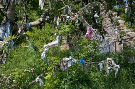 Prayer Tree, Abbey Bay, Ballyshannon, Co. Donegal, May 2009