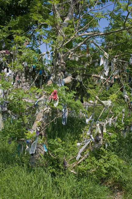 Prayer Tree, Abbey Bay, Ballyshannon, Co. Donegal, May 2009