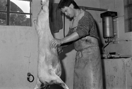 Cahill & Son, Victuallers, Ireland, 1991