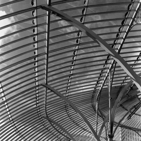 Botanical Gardens, Dublin, Co. Dublin, Ireland, February 2006 Botanical Gardens, Dublin, Co. Dublin, Ireland, February 2006