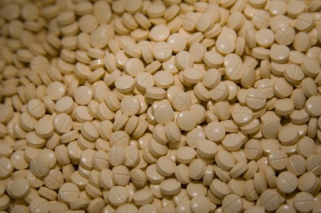 Niche Generics Ltd, Baldoyle, Dublin, Ireland, October 2008