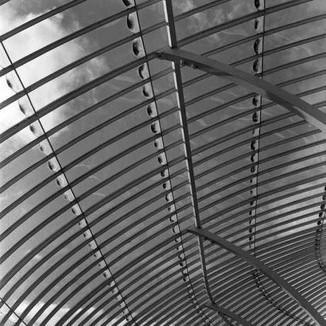 Botanical Gardens, Dublin, Co. Dublin, Ireland, February 2006 Botanical Gardens, Dublin, Co. Dublin, Ireland, February 2006