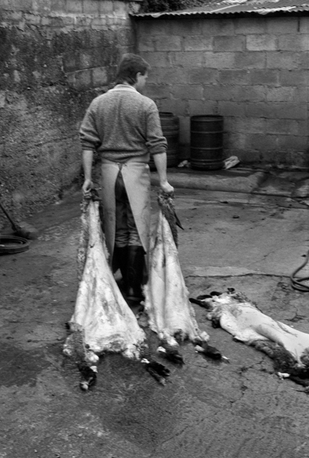 Cahill & Son, Victuallers, Ireland, 1991