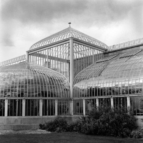 Botanical Gardens, Dublin, Co. Dublin, Ireland, February 2006