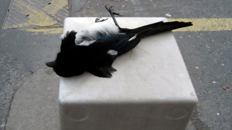 Leonards Corner, Dublin, Ireland, February 2009