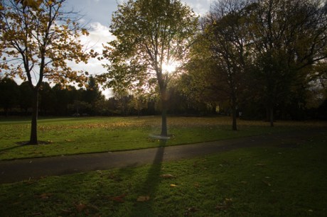 Herbert Park, Dublin, Co. Dublin, Ireland, November 2008