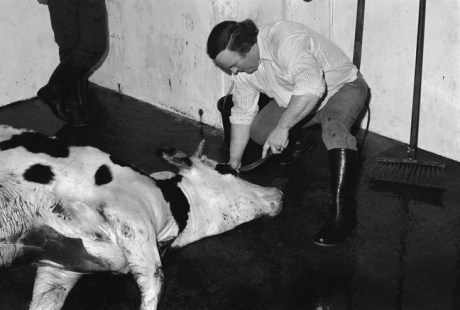 Cahill & Son, Victuallers, Ireland, 1991