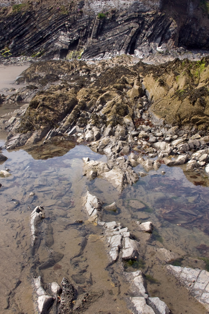 Loughshinny, Dublin, Co. Dublin, Ireland, June 2013
