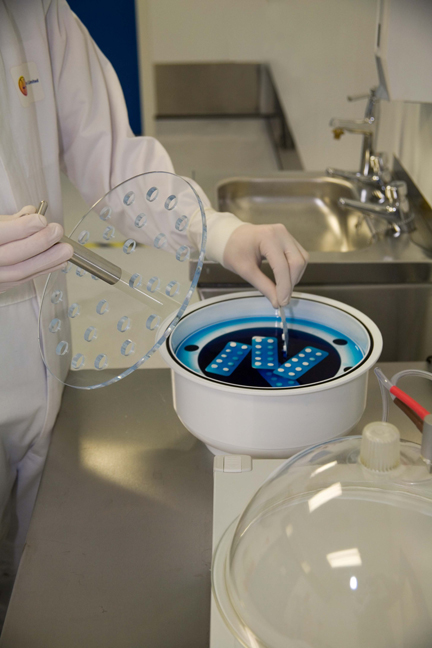 Niche Generics Ltd, Baldoyle, Dublin, Ireland, October 2008