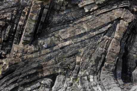 Loughshinny, Dublin, Co. Dublin, Ireland, June 2013