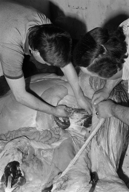 Cahill & Son, Victuallers, Ireland, 1991