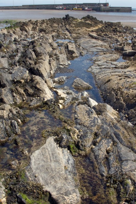 Loughshinny, Dublin, Co. Dublin, Ireland, June 2013