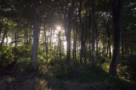 Howth Head, Dublin, Co. Dublin, Ireland, September 2010