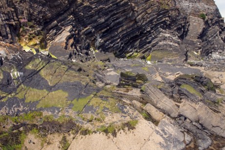 Loughshinny, Dublin, Co. Dublin, Ireland, June 2013