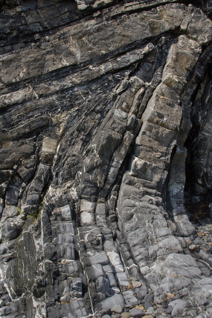 Loughshinny, Dublin, Co. Dublin, Ireland, June 2013