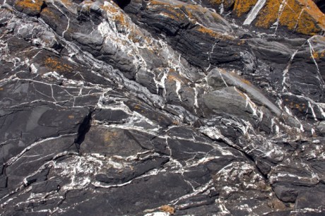 Loughshinny, Dublin, Co. Dublin, Ireland, June 2013