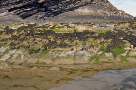 Loughshinny, Dublin, Co. Dublin, Ireland, June 2013