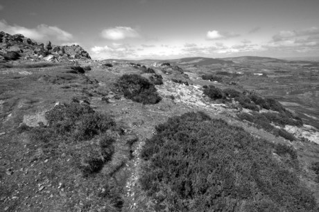 The Sugar Loaf, Co. Wicklow, Ireland, June 2010