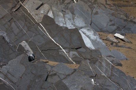 Loughshinny, Dublin, Co. Dublin, Ireland, June 2013