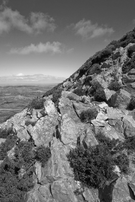 The Sugar Loaf, Co. Wicklow, Ireland, June 2010