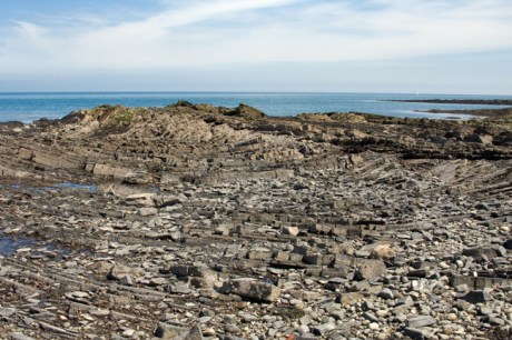 Loughshinny, Dublin, Co. Dublin, Ireland, June 2013
