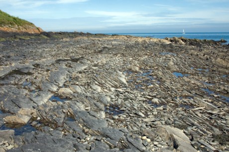 Loughshinny, Dublin, Co. Dublin, Ireland, June 2013